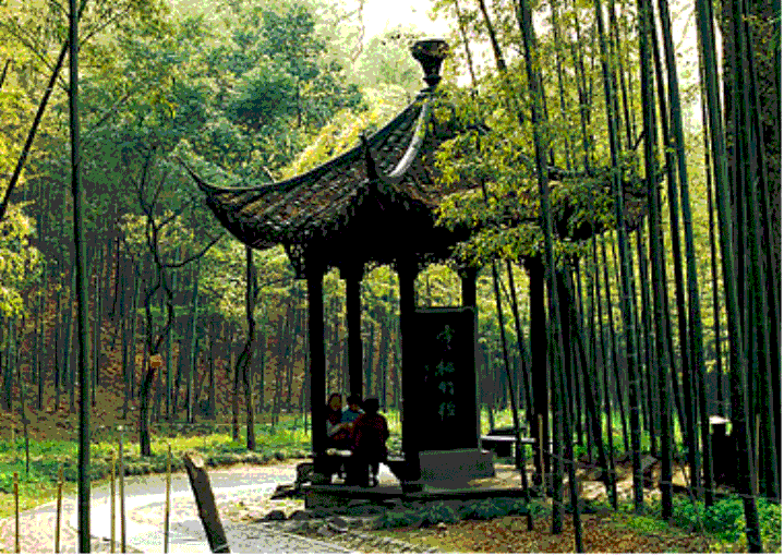 333体育平台在线